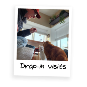 drop-in-visits-Services-Thumbnail